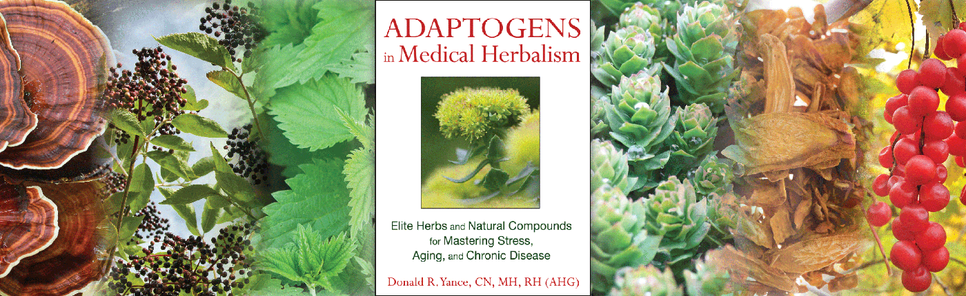 Adaptogens in Medical Herbalism by Donnie Yance